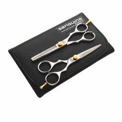 Professional Hairdressing Scissors Set, Japanese-Style Hair Cutting and Thinning Scissors for Wet or Dry Hair, Silver, 5.5", Presentation Case and Protective Cover Included