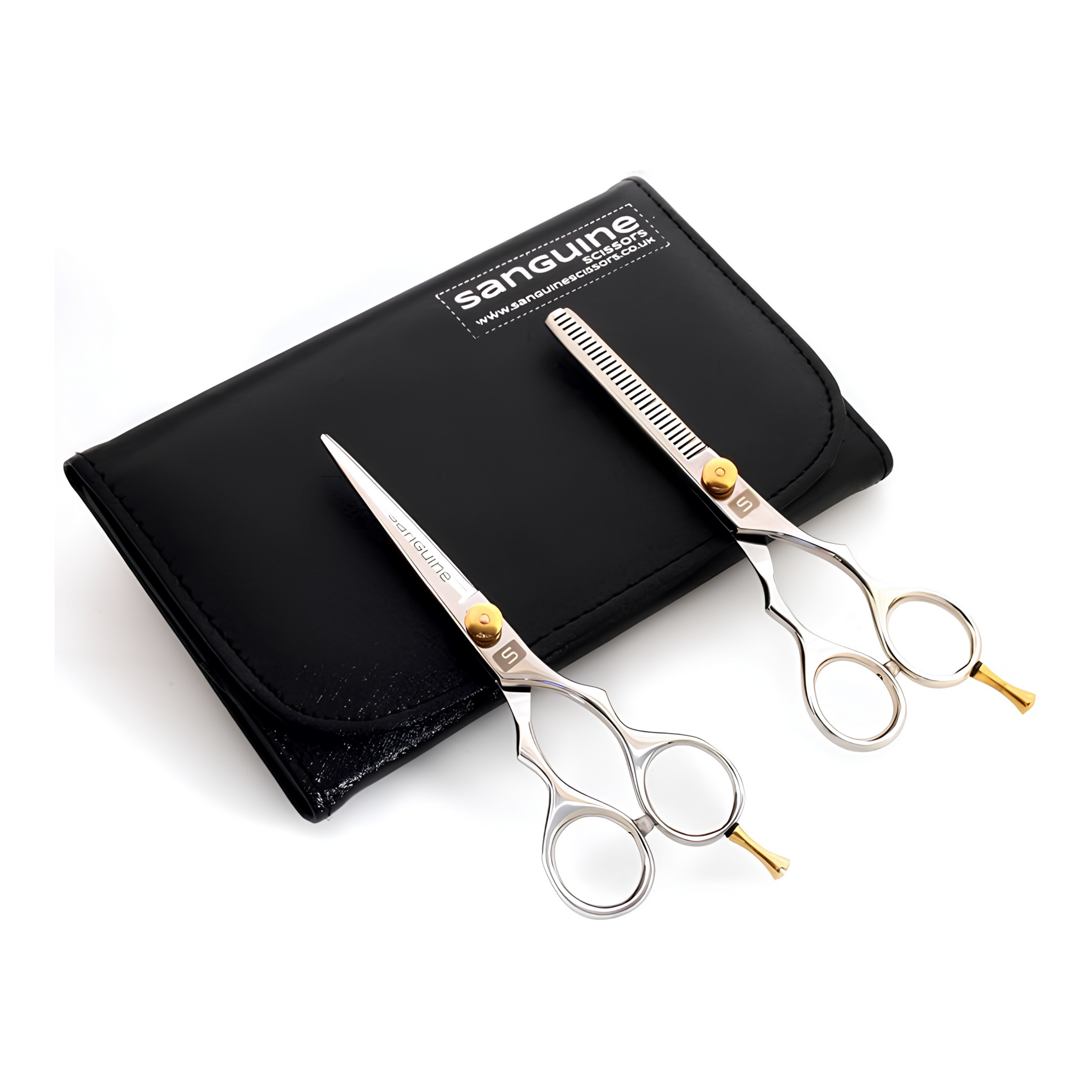 Professional Hairdressing Scissors Set, Japanese-Style Hair Cutting and Thinning Scissors for Wet or Dry Hair, Silver, 5.5", Presentation Case and Protective Cover Included - Image 2