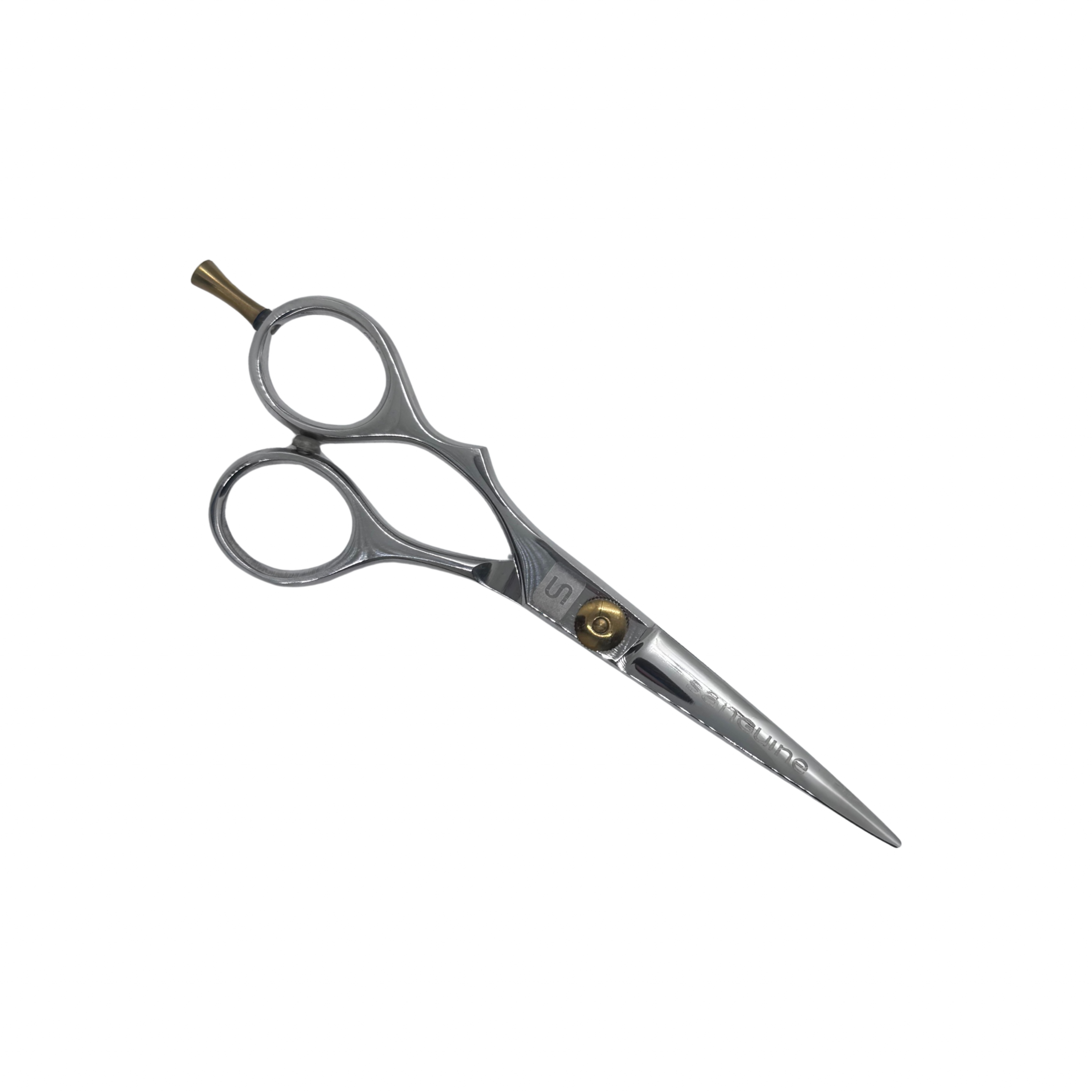 Professional Left Offset Hairdressing Scissors, Japanese J2 Steel Hair Cutting Scissors for Wet or Dry Hair, Silver, 5.5", Presentation Case and Protective Cover Included