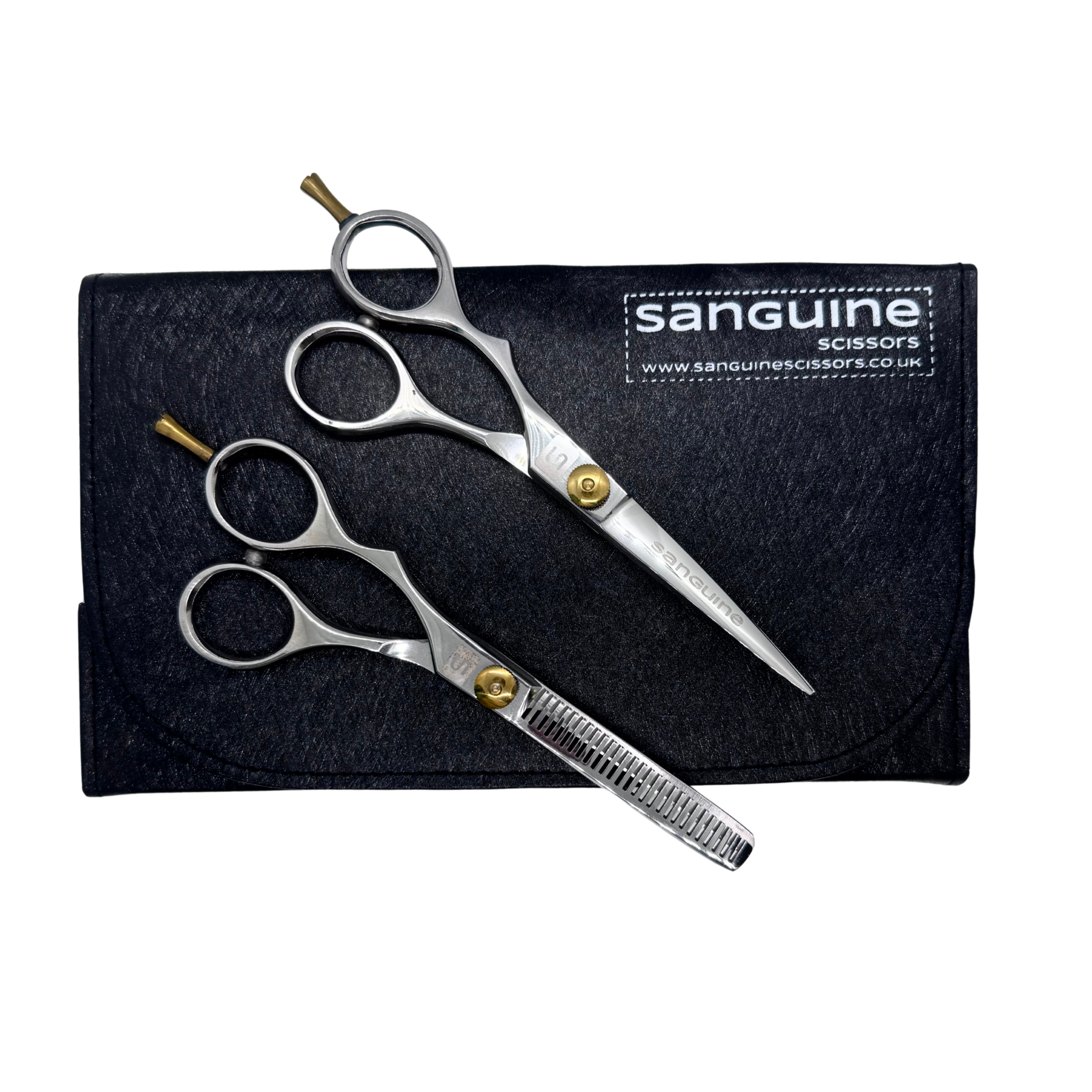 Left-Handed Professional Hairdressing Scissors Set, Japanese-Style Hair Cutting and Thinning Scissors for Wet or Dry Hair, Silver, 5.5", Presentation Case and Protective Cover Included